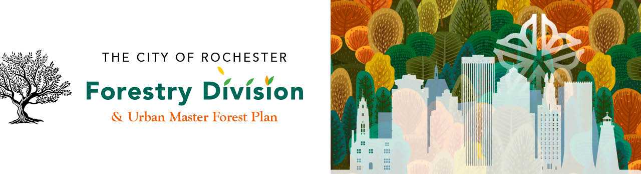 urban master forest plan